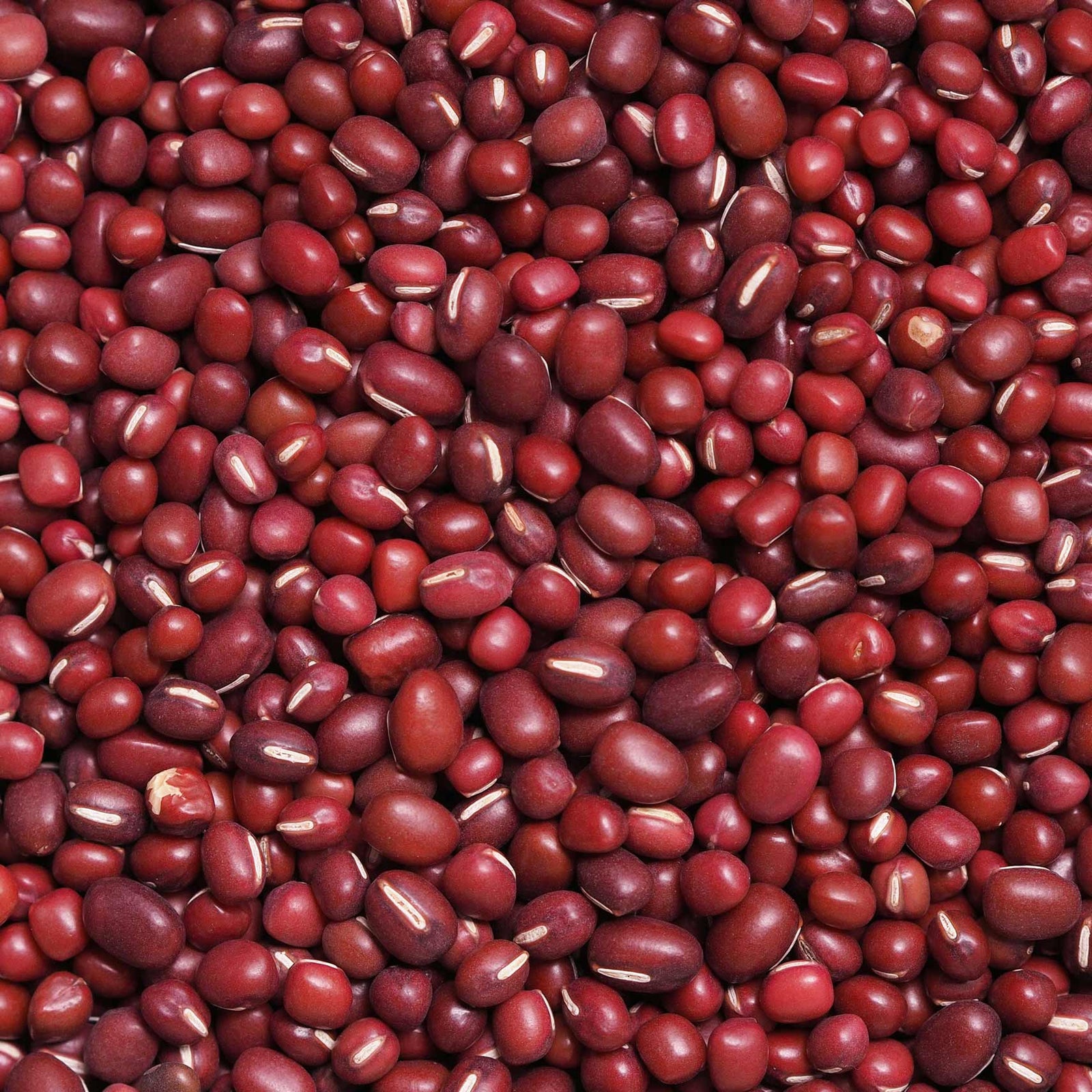 Image Credit: Lukas Rawa, Unsplash