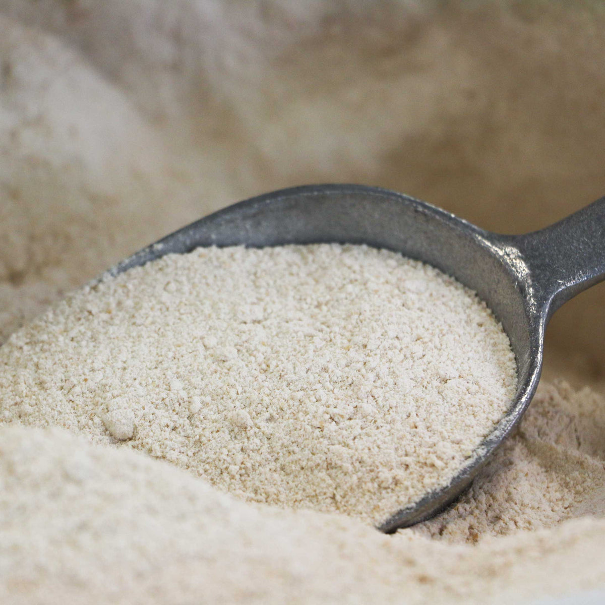 Plain Flour Wholemeal - Organic