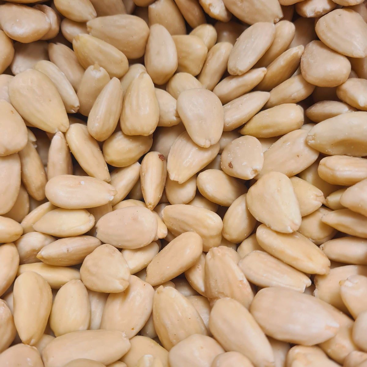Almonds Blanched - Whole